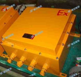 防爆接線箱優(yōu)選供應(yīng)商 瑞安市恒安電氣有限責(zé)任公司